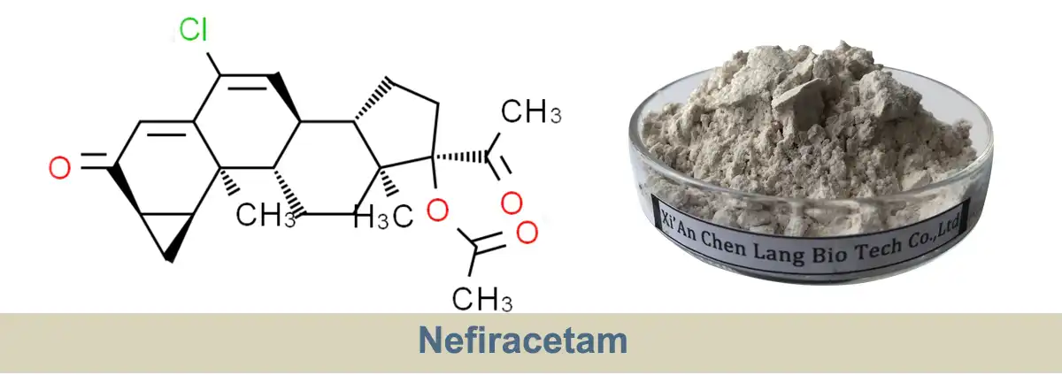 Nefiracetam Saler.jpg